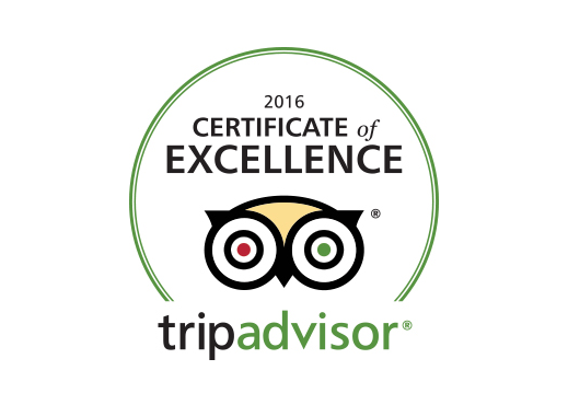 TripAdvisor